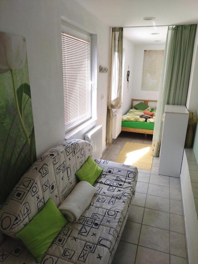 Apartma Peter1A بيغونيي نا غورينيسكِ المظهر الخارجي الصورة